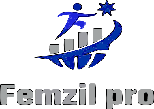 femzilpro Marketing Hub